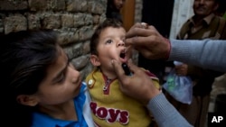 巴基斯坦一名健康工作者正為一名兒童服用小兒麻痹症疫苗。(2014年12月8日資料照)