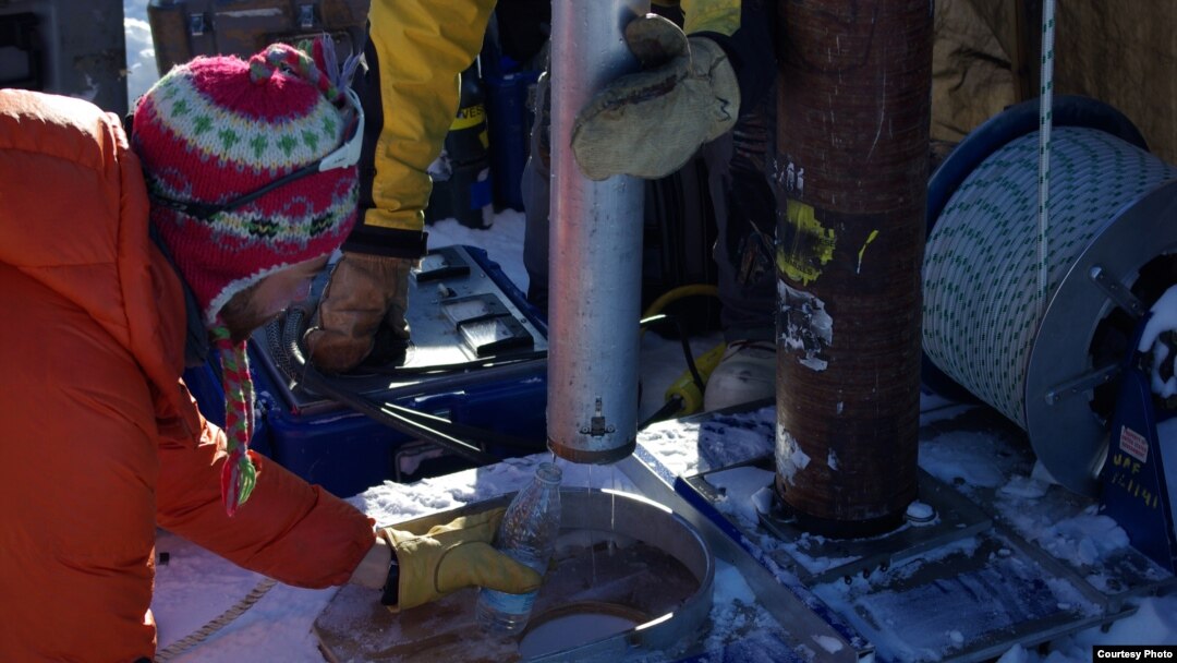 Water from the Greenland perennial firn aquifer draining from a core extracted 12 m below the surface of the ice sheet. The core was drilled in April, months prior to seasonal melt, with air temperatures -15 C confirming the water was retained at depth th