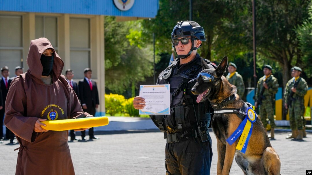 El perro Apolo recibe una medalla en una ceremonia de reconocimiento por su labor como parte de una brigada de inteligencia militar en Quito, Ecuador, el lunes 3 de junio de 2024. 