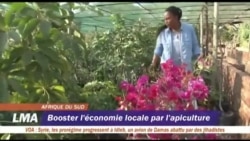 Booster l'économie locale par l'apiculture