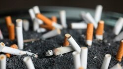 WHO Calls for Nicotine- and Tobacco-Free Schools