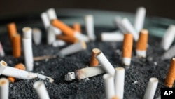 FILE - Tobacco kills more than 8 million people every year, most in low- and middle-income countries, which account for about 80% of the world’s 1.3 billion tobacco users. The World Health Organization called on schools to protect students from the effects of tobacco use.