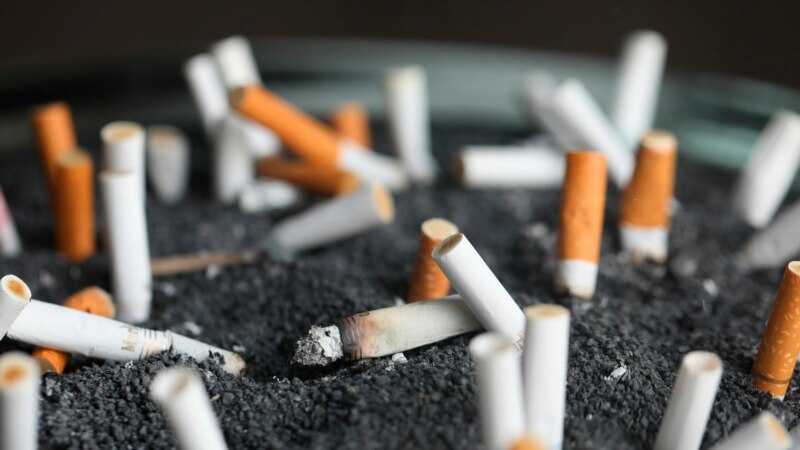 WHO Calls for Nicotine- and Tobacco-Free Schools...