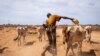 Severe Drought in Ethiopia Threatens Lives and Livelihoods of Millions