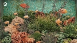 Настоящее Время. Америка – 14 июня 2019