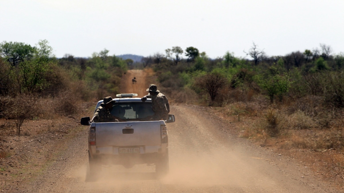 Botswana on Alert After Shooting of Rhinos in Sanctuary - Vimarsana News