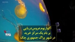 آکواریوم عروس‌دریایی بر بام یک مرکز خرید در شهر پراگ جمهوری چک