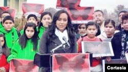 Erika Andiola llegó hasta el Congreso para exponer sus peticiones y la necesidad de que el Congreso apruebe una reforma de inmigración.