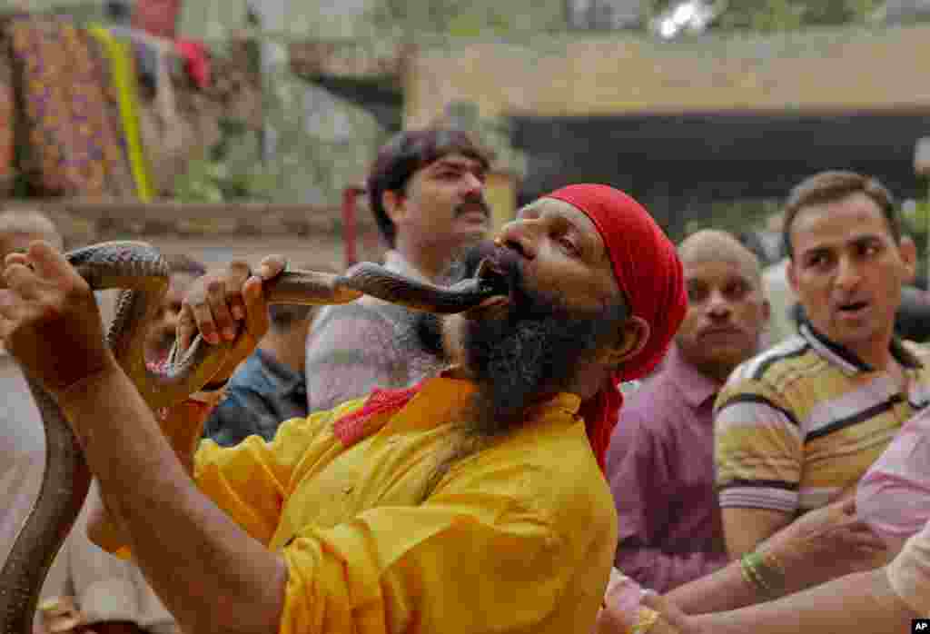 Seorang pria India bermain dengan ular pada festival Hindu Nag Panchami, yang didedikasikan untuk memuja Dewa Ular di Allahabad, India.