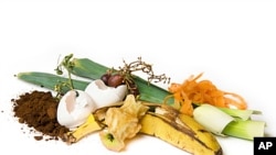 西雅图一家公司计划用回收的食品垃圾发电