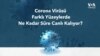 Corona Virüsü Hangi Yüzeylerde Ne Kadar Süre Canlı Kalıyor?