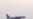 India’s Second Largest Airline Reports Record Losses