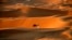 A man walks his camel across the Liwa Oasis, southwest of the Emirati capital, Abu Dhabi.