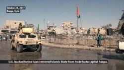 US-backed Forces Say Syria's Terror Threat Will Remain After IS Defeat