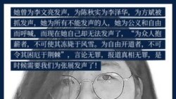 維權組織發布的要求中國當局釋放張展的宣傳畫（圖片來自維權網）