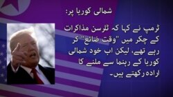 ٹرمپ اور ٹلرسن اختلافات کیا تھے؟