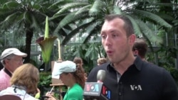 Corpse Flower Comes to Life