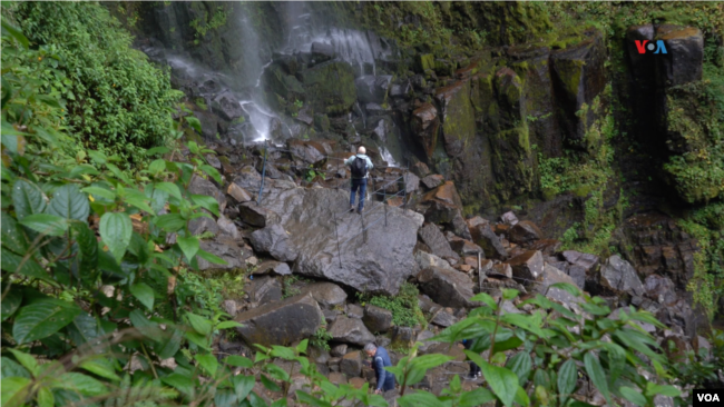 Una persona observa la caída de la cascada La Chorrera. Foto: Javier Hernández, VOA.