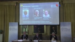 Científicos británicos ganan Nobel de Física