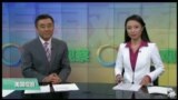 VOA卫视(2017年1月17日 美国观察)