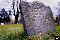 A headstone marks the grave of "Cicely", a 15-year-old "Negro Servant" of Rev. William Brattle, a treasurer at Harvard College, at the Old Burying Ground just outside Harvard Yard, Wednesday, April 27, 2022, in Cambridge, Mass. (AP Photo/Charles Krupa)