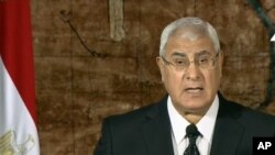 Adly Mansour a chargé 10 juges et professeurs de droit de proposer des amendements constitutionnels dans le cadre du calendrier pour le retour à un régime démocratique