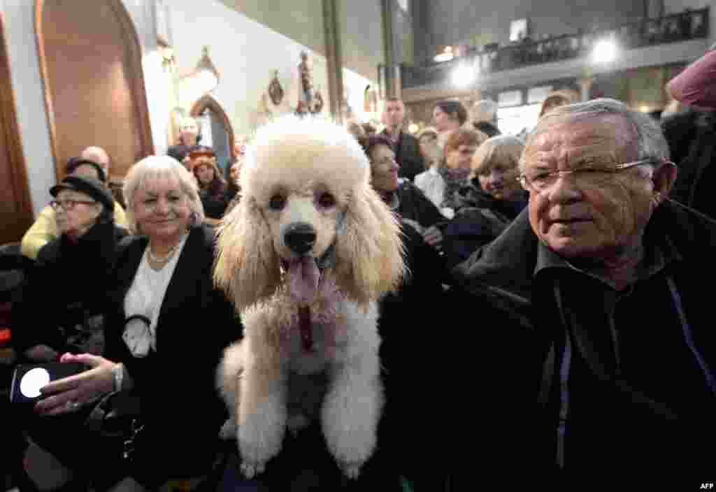 A parishioner with a pet arrives for a religious service in the church of Sainte Rita in Paris, famous for its religious services devoted to animals. 