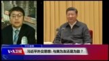 VOA连线(叶兵)：习近平外交思想: 与美为友还是为敌？