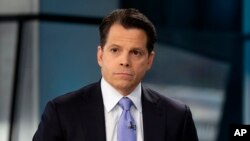 Cố vấn Tổng thống đắc cử Donald Trump Anthony Scaramucci. 