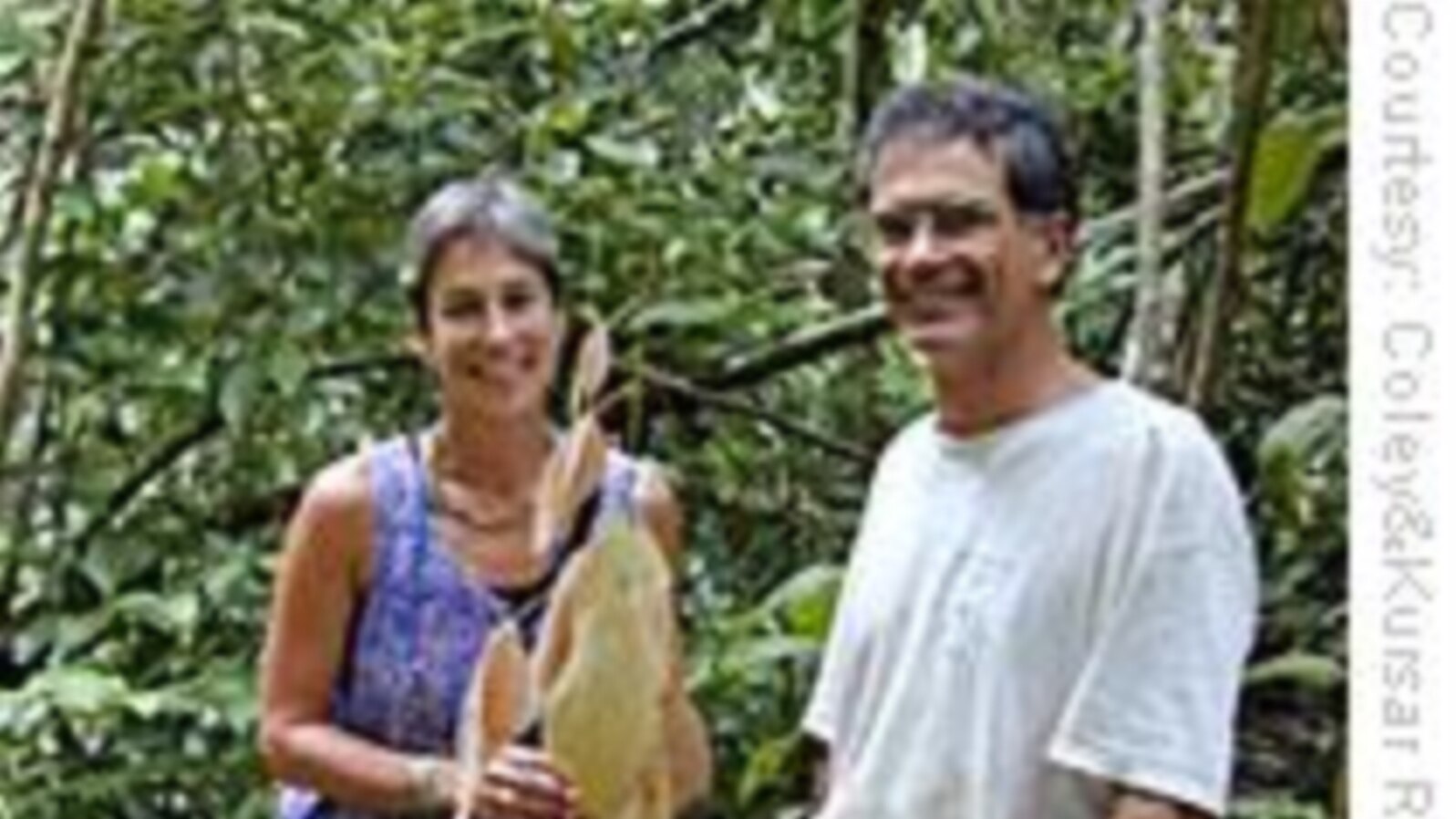 Rainforest Research Yields Promising Medicines and Creates Jobs