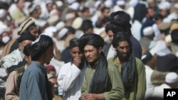 طالبان وایي د ملا عمر خپلوانو له خپلو پلویانو غوښتي دي چې د ملا منصور تر مشرۍ لاندې سره متحد شي.