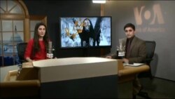 ډیوه ریډیو په ټې وي