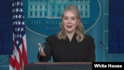 کارولین لیویت سخنگوی قصر سفید