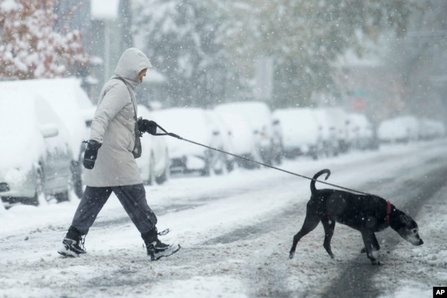 FILE - A woman walks a dog across the street in Denver on Oct. 29, 2023. (AP Photo/David Zalubowski, File)