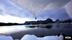 Melelehnya es dunia akibat pemanasan global seperti di wilayah Greenland ini berpotensi menaikkan permukaan air laut setinggi satu meter di akhir abad (Foto: dok).