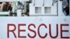 Italian Coast Guard Rescues Nearly 6,000 Migrants in a Day