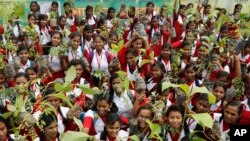 Anak-anak sekolah India memegang bibit pohon yang didistribusikan oleh pemerintah di Prayagraj, India, 9 Agustus 2019.