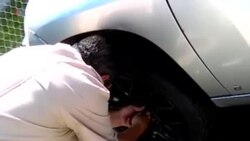 Собака под капотом