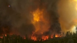 US Wild Fires