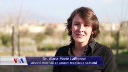 دیمانە لەگەڵ دکتۆر ئالانا لاببرۆز لە زانکۆی ئەمەریکایی لە سلێمانی