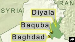 عراق: القاعدہ کے ایک سینئر لیڈر کی گرفتاری