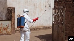 Seorang petugas kesehatan menyemprot disinfektan dekat sebuah masjid, setelah jenazah seseorang yang tewas akibat Ebola dimandikan di dalam sebelum dimakamkan di Bamako, Mali.