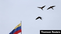 Aves vuelan junto a una bandera venezolana en Caracas, Venezuela.