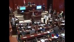 埃及就新宪法进行全国辩论