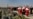 Irán: avión ucraniano estaba en llamas antes de estrellarse en Teherán