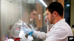 FILE - Research scientist Kevin Potts works on ovarian cancer cells being grown on a plastic plate at UW Medicine's Cancer Vaccine Institute Thursday, May 25, 2023, in Seattle.. 