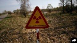 FILE - In this photo taken on Monday, April 11, 2016, a radiation warning sign is placed near the check-point 'Maidan' of the state radiation ecology reserve inside the 30km exclusion zone around the Chernobyl nuclear reactor. (AP Photo/Sergei Grits)