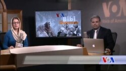 بي بي شیرینه – د ډیوه ریډیو په ټی وي خپرونه