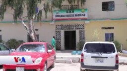 Qubanaha VOA, Mar. 26, 2020