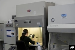 California Cultured's Erika Cavanaugh collects biological materials from cell lines for experimentation and production at the company's lab in West Sacramento, Calif., Wednesday, Aug. 28, 2024. (AP Photo/Jeff Chiu)